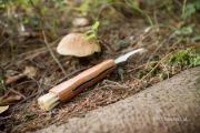 Skládací nůž na houby