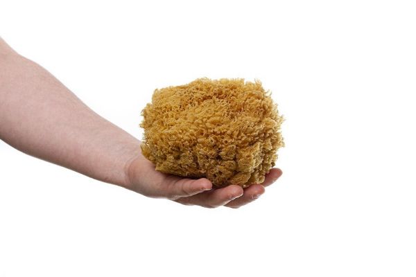 Obrázek Mořská houba tráva střední - nebělená