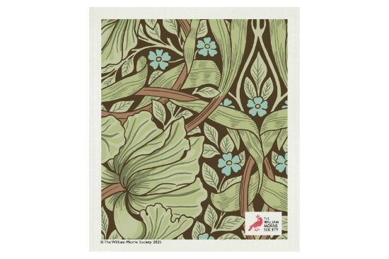 Picture of Kompostovatelná houbička - drchnička zelená