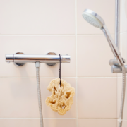 Obrázek Lufa - přírodní houba - 15 cm