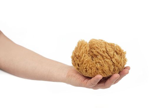 Obrázek Mořská houba tráva střední - nebělená